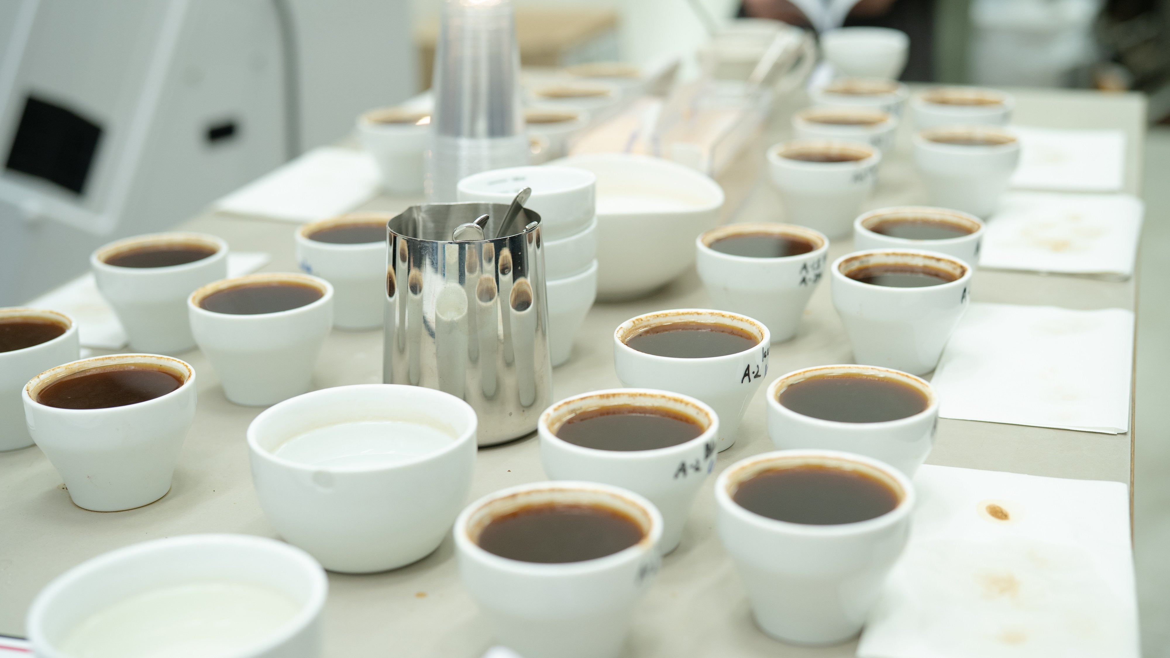 260828_coffee_006-1